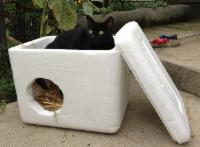 Building Winter Shelters for Community Cats - Alley Cat Advocates   Trap-Neuter-Release and Volunteer Services for Greater Louisville, KY