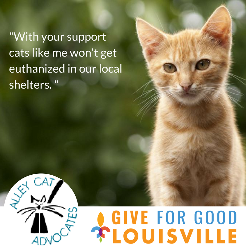 Give for Good Louisville 2020 Alley Cat Advocates TrapNeuter
