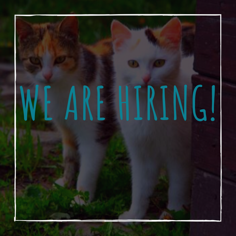 We Are Hiring! Alley Cat Advocates TrapNeuterRelease and