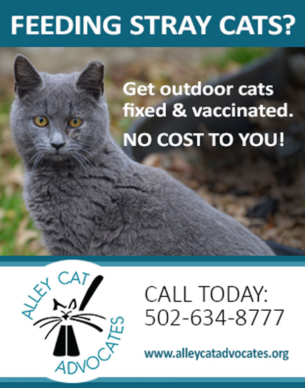 Feeding Stray Cats? Alley Cat Advocates TrapNeuterRelease and