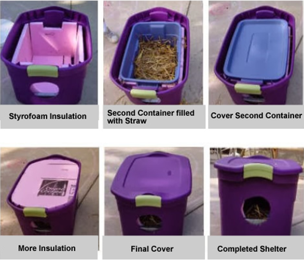 Building Winter Shelters for Community Cats - Alley Cat Advocates